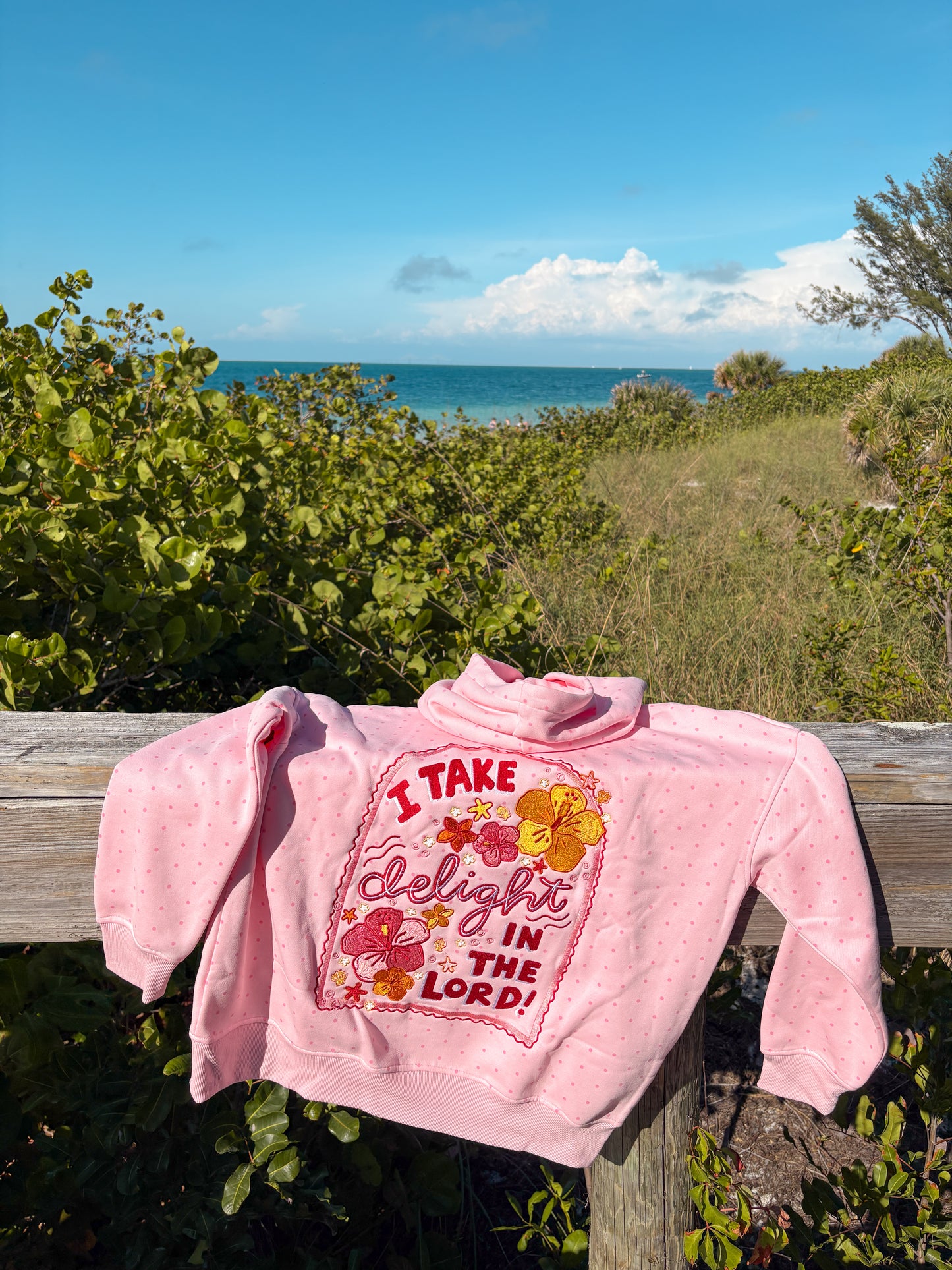 Psalm 37:4 hoodie